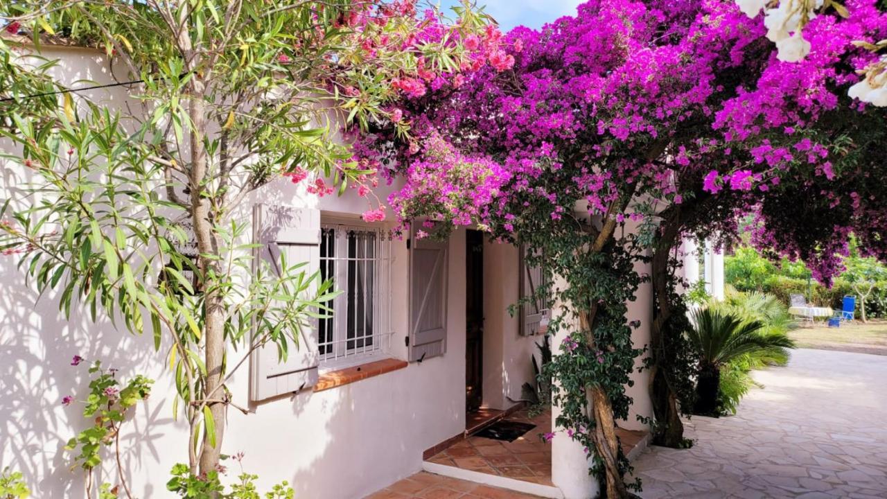 Villa Provencale A Sainte Maxime, Golf De Saint Tropez Eksteriør bilde