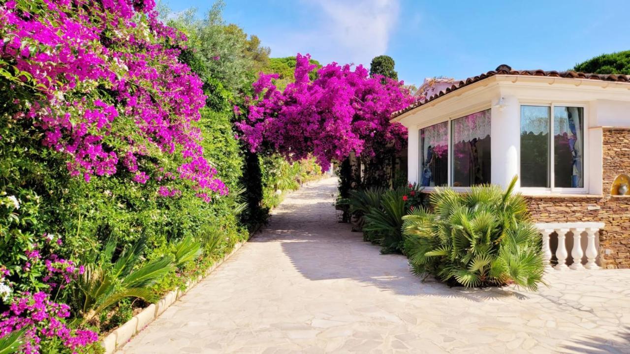 Villa Provencale A Sainte Maxime, Golf De Saint Tropez Eksteriør bilde