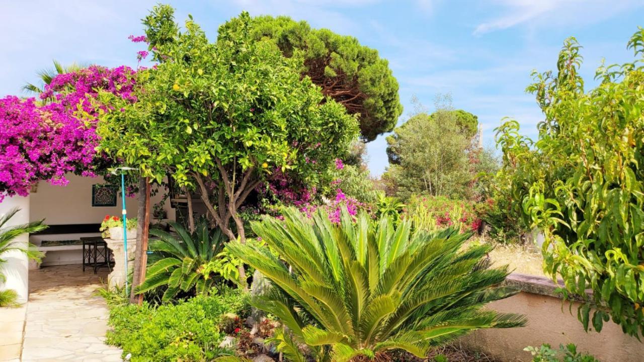 Villa Provencale A Sainte Maxime, Golf De Saint Tropez Eksteriør bilde