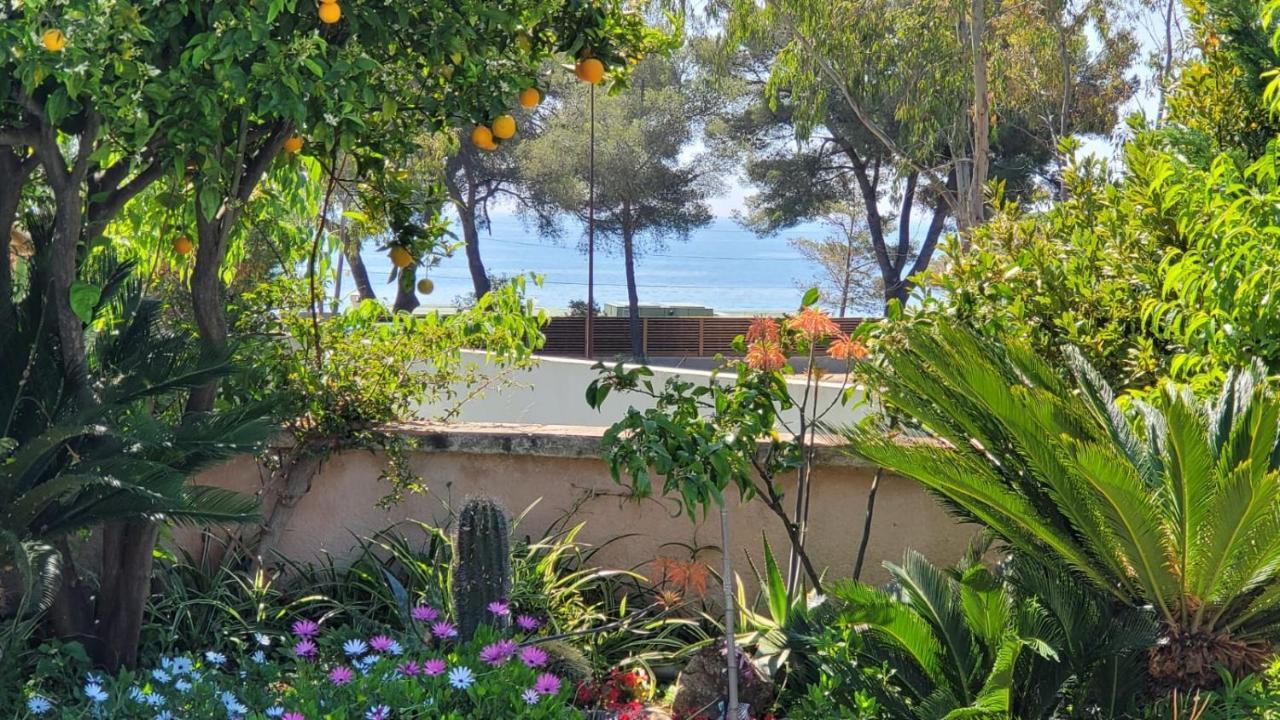 Villa Provencale A Sainte Maxime, Golf De Saint Tropez Eksteriør bilde