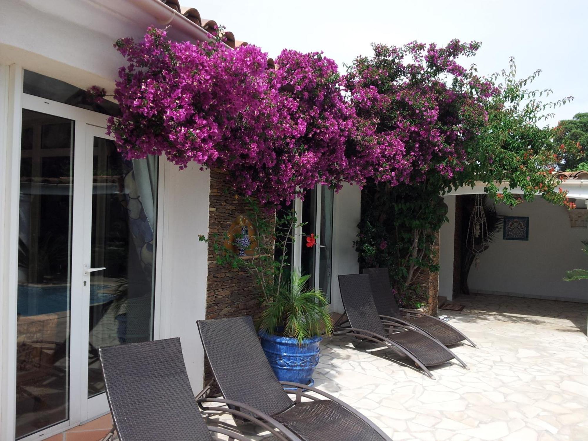 Villa Provencale A Sainte Maxime, Golf De Saint Tropez Eksteriør bilde