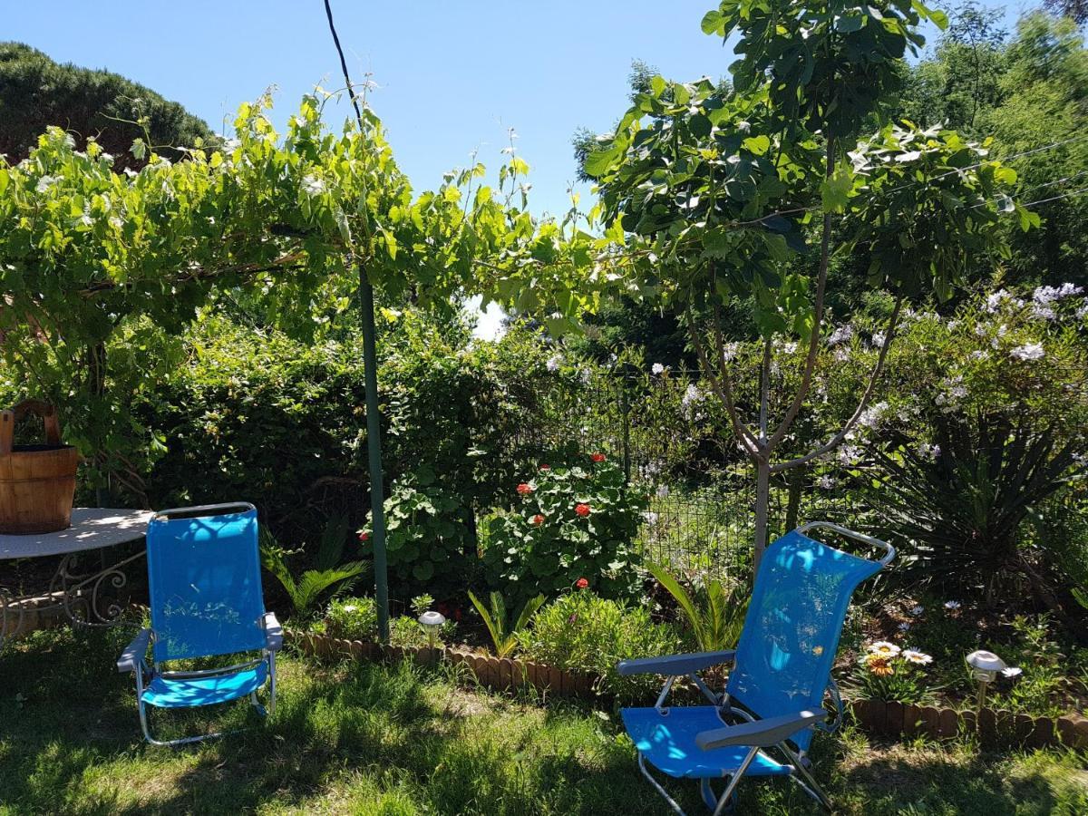 Villa Provencale A Sainte Maxime, Golf De Saint Tropez Eksteriør bilde